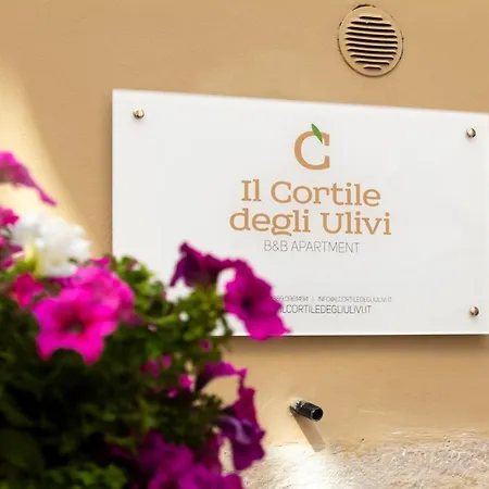 Il Cortile Degli Ulivi 住宿加早餐酒店