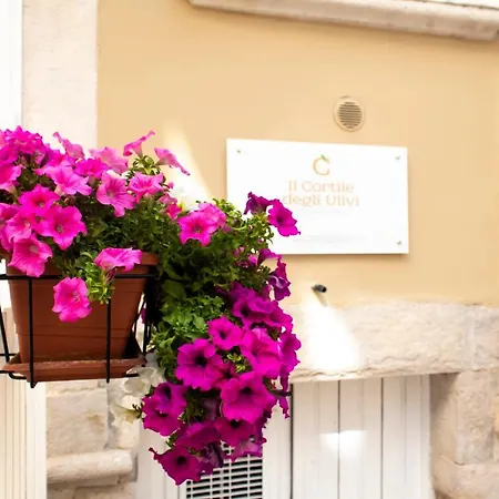 Il Cortile Degli Ulivi *