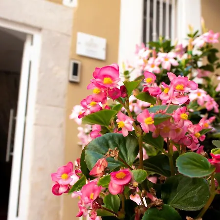 Il Cortile Degli Ulivi *