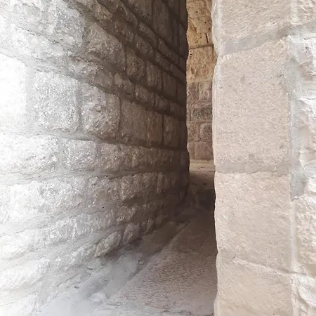 Il Cortile Degli Ulivi *