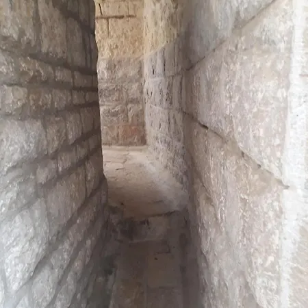 Il Cortile Degli Ulivi *