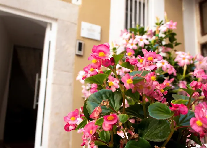 Il Cortile Degli Ulivi 3*